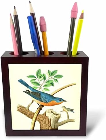 3dRose ретро рисунка с образа на птици, източна синята птица, арт диви сини птици. - Държачи за плиточных дръжки