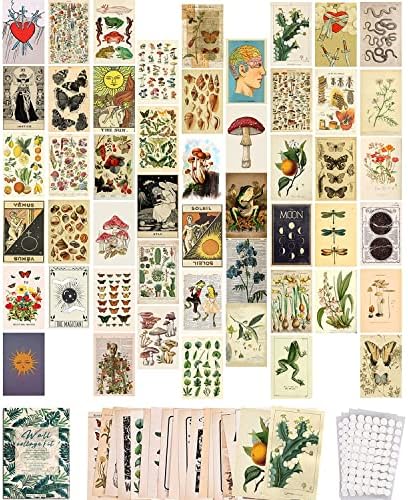 SOONYO Реколта Ботаническая Илюстрация на Таро, Естетически Картини, Комплект за Стенен Колаж, Модерен Малък