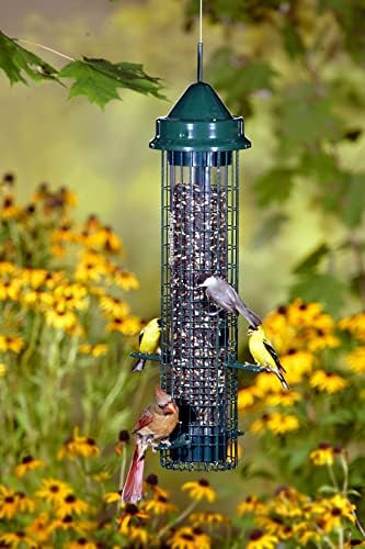 А за птици Катерица Момче Classic, защитени от протеин, с 4 дупки за хранене, с капацитет 2,4 килограма семена