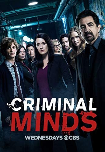 TianSW Criminal Minds (14 инча x 20 см / 35 см x 51 см) Водоустойчив Плакат Без избледняване