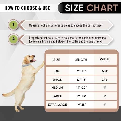 Нашийник за кучета DCSP Pets – Сверхпрочный нашийник за малки кучета, средни и Големи – Екологично чисти естествени тъкани –