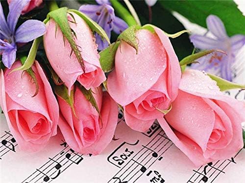 QGHZSCS Боята по номера Цифрова картина на Розови цветя Хобита и Занаяти A6 (40x50 см, Без рамка)
