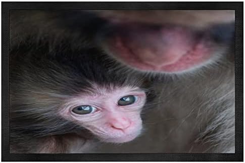 ERUXUGB Най-Сладки Бебета животни | Зверче Маймуни Макак и майката Черна Гума Тъкан килим за пода (60 × 40 см