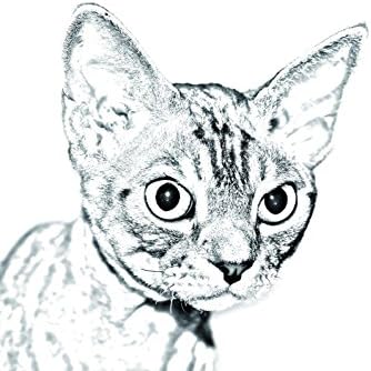 Арт Дог Оод. Девон Рекс, Овално Надгробен камък от Керамични плочки с Изображение на котка