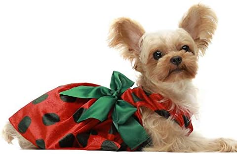 Топло Коледна Рокля за кучета в Грах, Празнична Облекло за малки Кученца за Момичета, Облекло за котки, Лесен