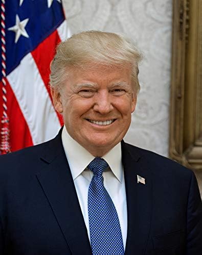 Снимка на Доналд Тръмп - Историческо произведение на изкуството 2017 година - Портрет на Президента на САЩ