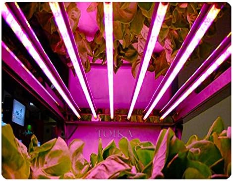 Toika【25 Pack】 Т8 4-подножието led лампи за отглеждане, Вградена тръба 4 фута 20 W (еквивалент на 40 Вата), led лампа за отглеждане на растения, вграден в лампата за стайни растен