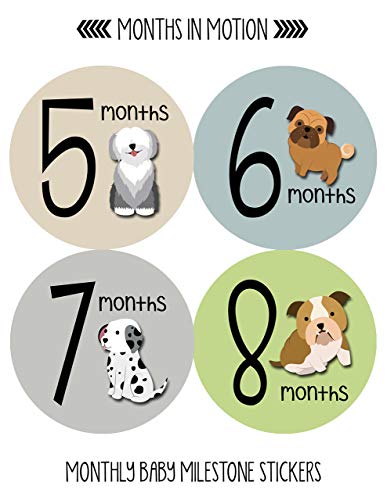 Етикети Months In Motion, неутрални по отношение на пола, Месечни етапи за детето - Стикер за един месец - Обявяването на раждането на бебето за първата година - Подарък за д?