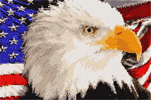 комплект за бродиране pepita: Американски орел, 14 x 9