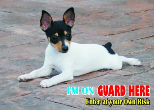 Внимание - Пазете се / Забавен Знак на Кучето Играчка Фокстерьер Куче за вашия дом SF2242 Размер A4