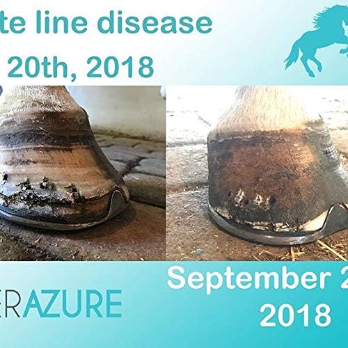 Глина за лечение на млечница копитата на кон Therazure и грижа за конете White Line: Ефективна за коне, крави, кози, овце,