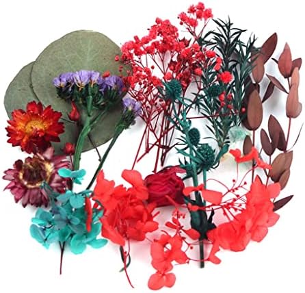 ZYJBM 4 Кутия за Сухи Цветя Декоративна Смола Истински Сушени Растения, Изработване на Рамки за снимки Сувенирное Занаят САМ