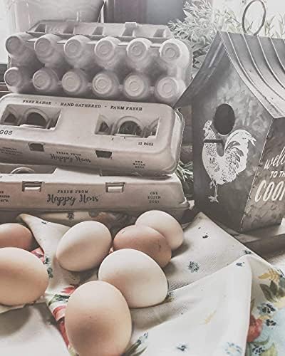 Кутии за яйца - Възхитителен дизайн с принтом за пресни яйца от ферма, от рециклирана хартия и картон, трайни и многократна употреба, могат да се настанят до XL кокоши