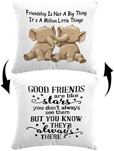 Приятелството - това не е чак толкова Голямо Нещо. Това е един Милион малки Неща, Обратим Декор, Калъфка за възглавница,