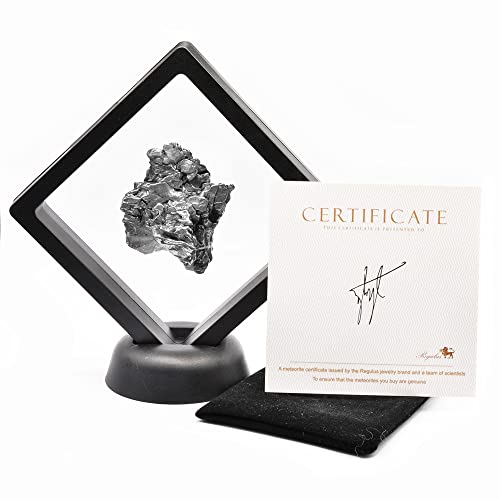Метеорит, Campo Del Cielo 15-110 грама със стойка за дисплея, Кадифена торбичка, Сертификат за автентичност