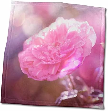 3подросток Чудесна светло розови рози в Светли кърпи (twl-263037-3)