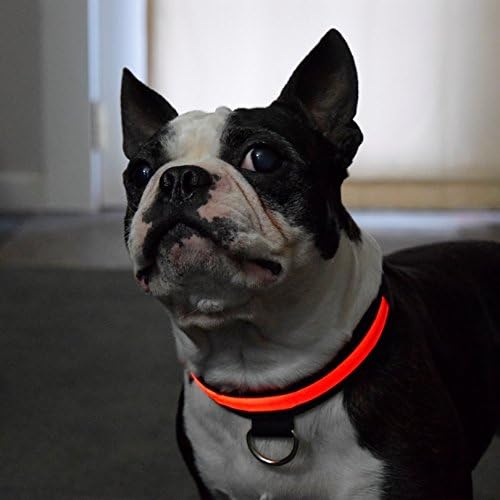 3 Режима на led фоново осветление греди за кучета/котки /домашни любимци (XL 17-24 инча, червен)