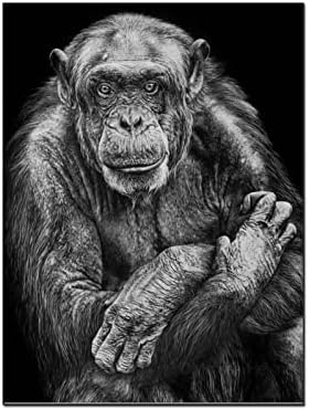 Плакат с изображение на животни, Произведение на изкуството от Шимпанзета, Маймуни, Абстрактно Монтиране на Изкуството,