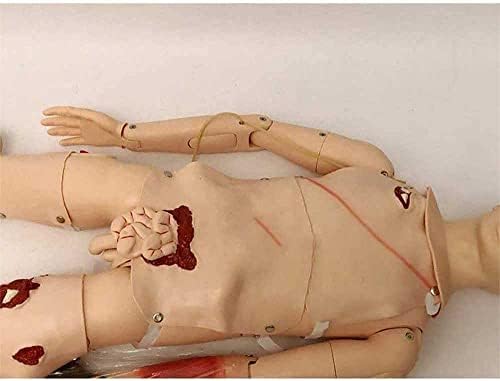 Проектът е Симулатор Грижа за Пациента WFZY 170 см PVC Манекен За Хранене Медицинска Анатомическая Модел на Човека с Жизнено
