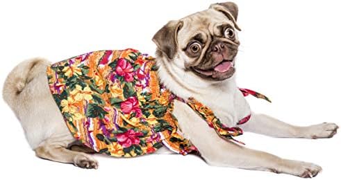 Гавайское рокля за кучета – Рокля с принтом Хибискус за момичета-кучета, Размер XL - Идеална първа линия облекло за домашни любимци