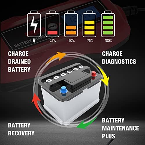 Преносимо зарядно BIG RED TAM4DVLR Torin в 6 и В 12, 2/4 Ампер /Обслужване на батерията: Напълно автоматично интелигентно зарядно устройство, Десульфатор на батерията с термична