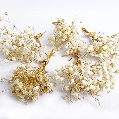 L ' BREVOGA Сушени цветя за бродерия, Определени консервирани цветя hydrangeas, 4-5 различни цветове, Естествени цветя