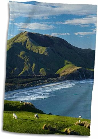 3розовые овце, земеделски земи, Алланс Бийч и Mount-Чарлз, Отаго, Нова Зеландия. - Кърпи (twl-187811-3)