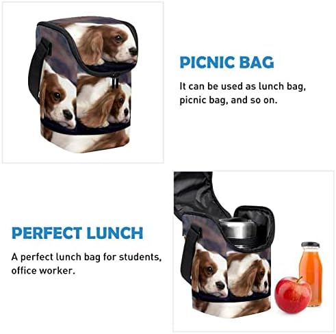 Дамски Чанта за обяд GUEROTKR, Кутия за Обяд за мъже, Дамски Кутия за Обяд, с шарени кучета животно