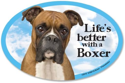 Магнити за кола Boxer: животът ще стане по-добре с Боксьор - Овал 6 x 4 за една кола / камион / хладилник / пощенска кутия