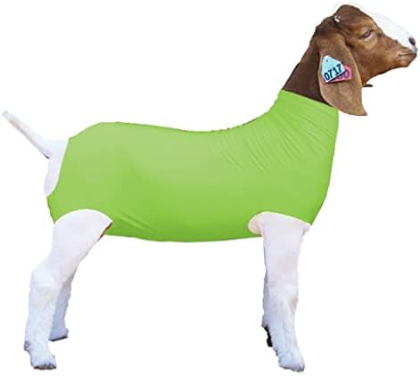 Show Pro Неоново Зелено Лайкровый козе тубичка за Изложбени кози - Аксесоари за изложбени животни: Кози шалтета и попоны (Големи)