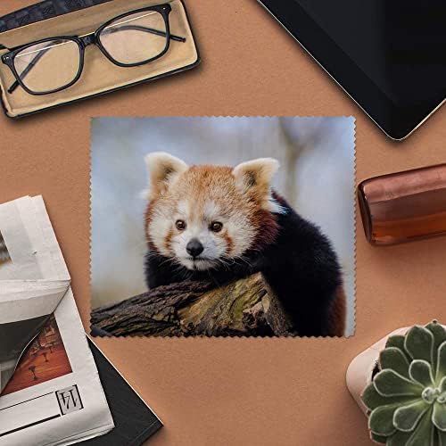 Azeeda 2 x Кърпички за почистване на лещи и очила от микрофибър Сладката червена Панда (LC00006351)