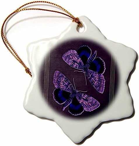 3. Начертайте сини и лилави пеперуди в текстурированном purple фон в. - Декорации (orn-53925-1)