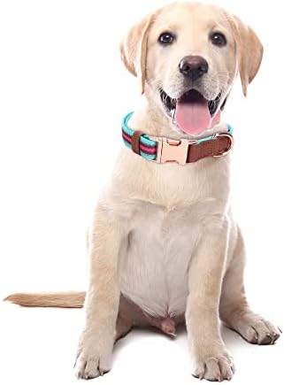 Отразяваща Нашийник за кучета в Разноцветную Шарени, Меки Регулируеми Нашийници за кучета с метална катарама за малки