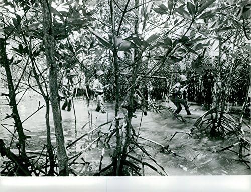 Реколта снимка на индонезийската армия на военната сцена.25 юни 1962 г.
