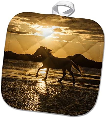 3розная Франция, Прованс, Camargue. Камаргская кон, гуляющая в прихватках за вода (phl-366439-1)