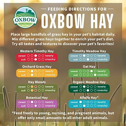 Oxbow Animal Health Oxbow Botanical Western Timothy Hay - Напълно Естествено Сено за зайци, морски свинчета, чинчили, хамстери и един gerbil - 15 грама.