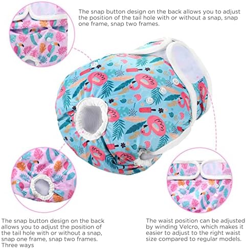 BONTHEE Washable Female Dog Diapers (3 опаковки) - Женски памперси за кучета, памперси за Многократна употреба-кученца за момичета в бикини за новородени, на поглъщането на здрава и ?