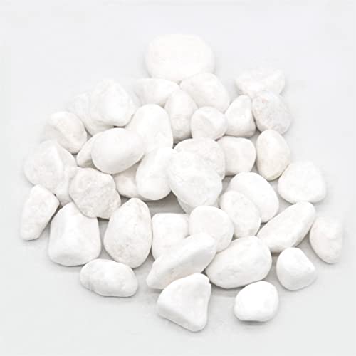 Бели камъни 1-2 инча, 5 килограма естествена нешлифованной Каменна Камъчета за растения, Градини, Наскальной