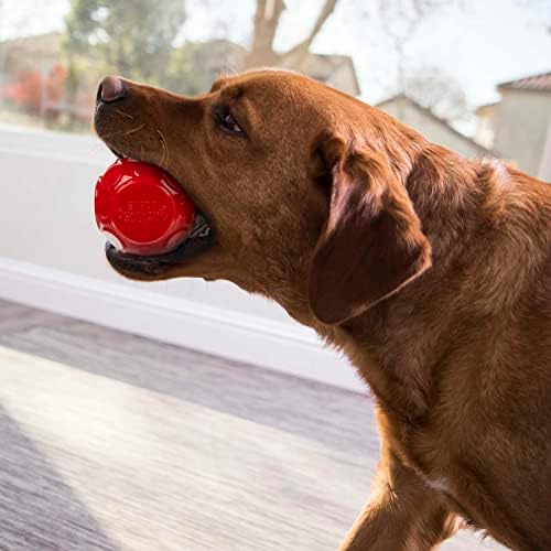 goDog (Комплект от 2 детски Играчки за кучета Holiday Collection с тихо писък, Ултразвукова Пищалка - Комплект от 2, зелено и червено