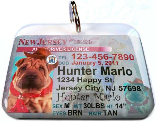 Идентификация виси етикет с номер на знака на шофьор от Ню Джърси за котки или кучета от ID4Pet (голяма от 2.00