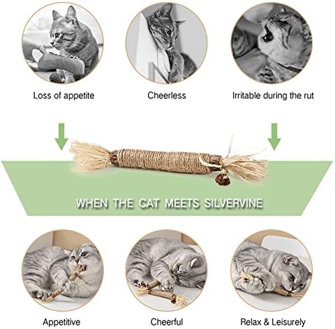 Играчки за котки Gochanmon-6 бр. Пръчки от масивно сребърно дърво-коча билка, Играчки за почистване на зъбите Коте-Лакомство за котки Matatabi-Годни за консумация играчки за