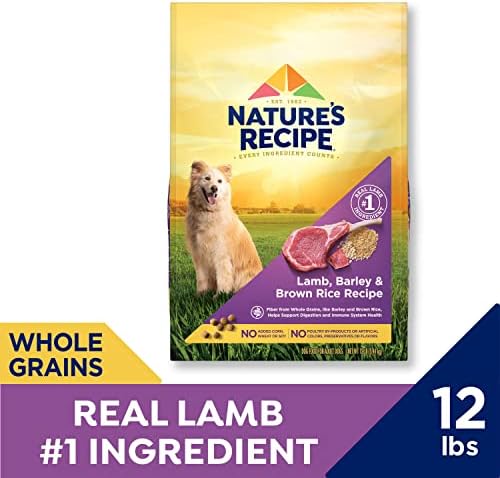 Nature's Recipe Суха Храна за възрастни кучета с Агнешко месо и Ориз По Рецепта, 12-Фунтовый пакет