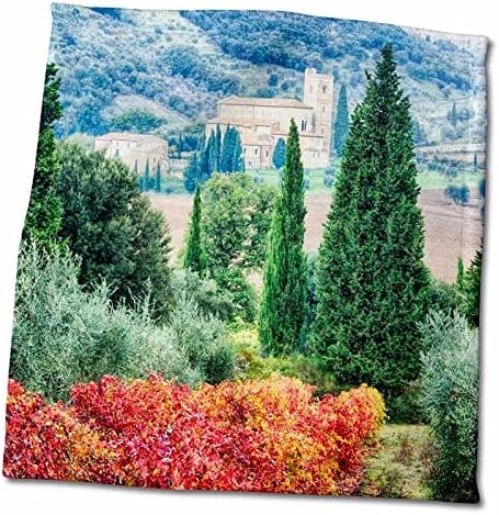 3россия Италия, Тоскана, Лозя и маслинови дървета абатството Сант Антимо - Кърпи (twl-277673-3)