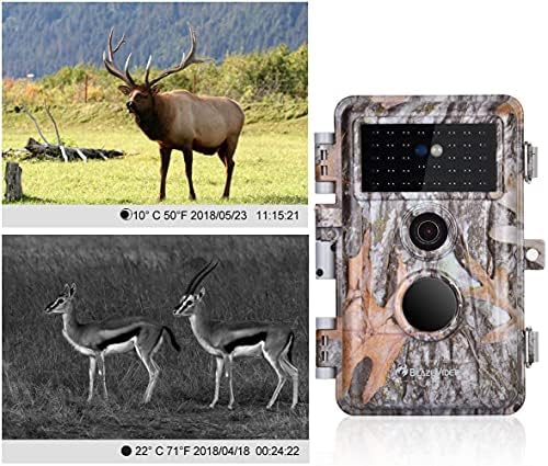 BLAZEVIDEO 4 комплекта слот камери и камери за лов на елени 24MP 2304x1296P H. 264 Видео клипове за лов на диви животни и домашни сигурност, Без да светят Нощно виждане С по-бавен сн