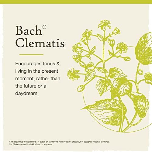 Bach Original Flower Remedies, Клематис, за концентрация на вниманието (Безалкогольная формула), Естествена гомеопатическая