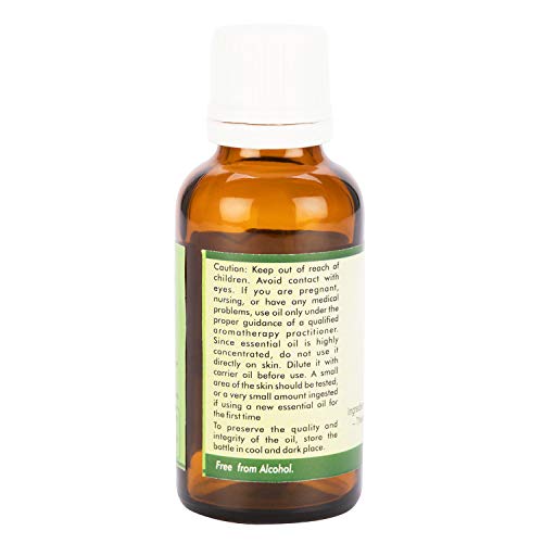 Етерично масло R V Essential Pure Lavandin 30 мл (1,01 унция) - Lavandula Hybrida ( Чисто и натурално, дистиллированное на пара)