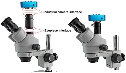 Комплект аксесоари за микроскоп за възрастни 0.5 X 0.3 X C-Mount Обектив 1/2 1/3 CTV Адаптер за Стерео Аксесоари микроскоп за Лабораторни консумативи (Цвят: 0.4 X обектив)