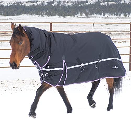 Класическо Зимно Одеало за крос-тренажори за коне 10K с качулка, Черно, Среден размер