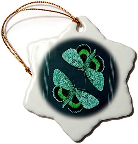 3. Начертайте зелени и сини пеперуди в текстурированном бирюзовом фон в. - Декорации (orn-53911-1)