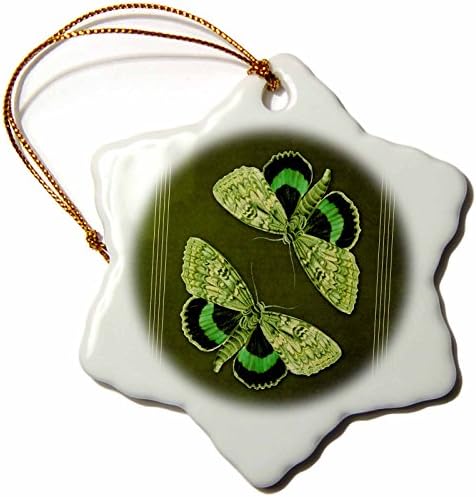 3. Начертайте изумруд и лаймово-зелена пеперуда, на фона на средни видоизменен Мъх. - Декорации (orn-53912-1)